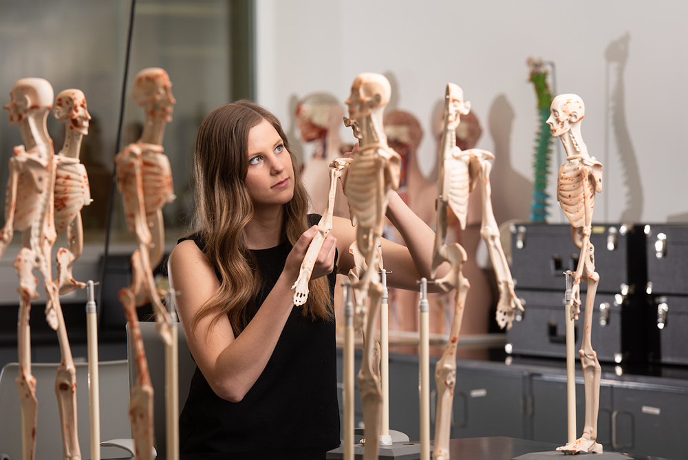 student inspecting skeleton