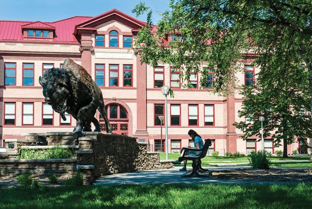 student bison statue