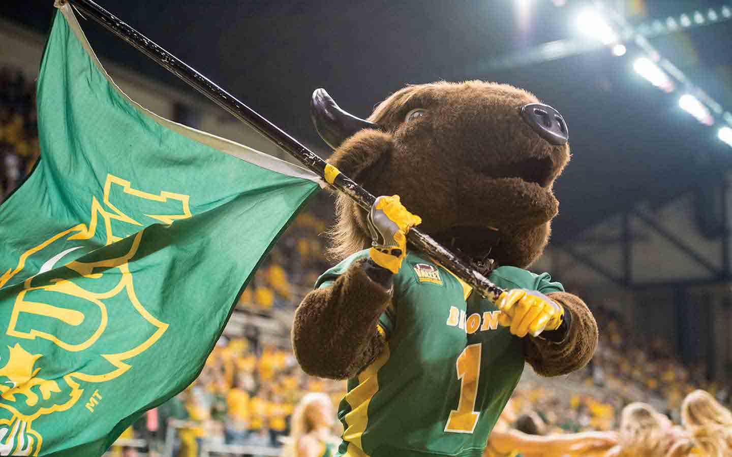 bison mascot with flag