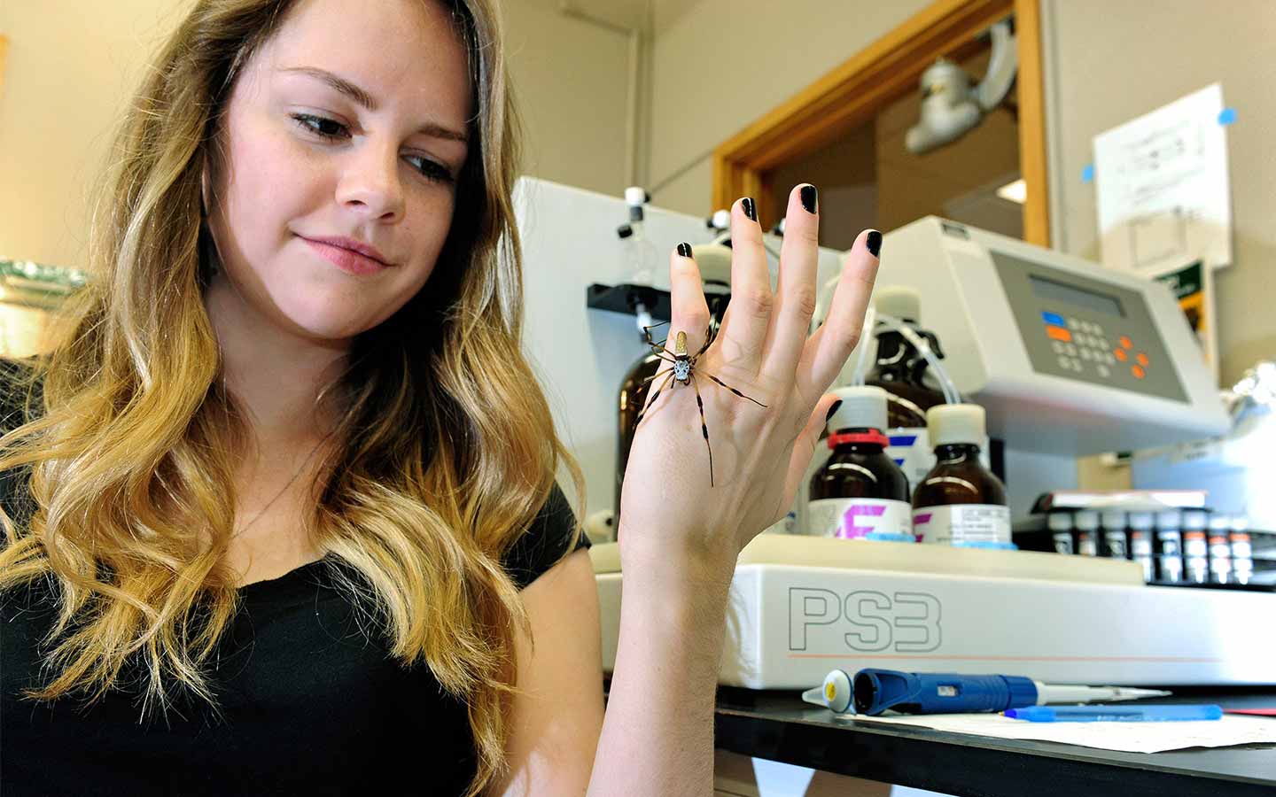 Female graduate student in lab holding spider