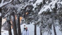 Student walking through snowy trees