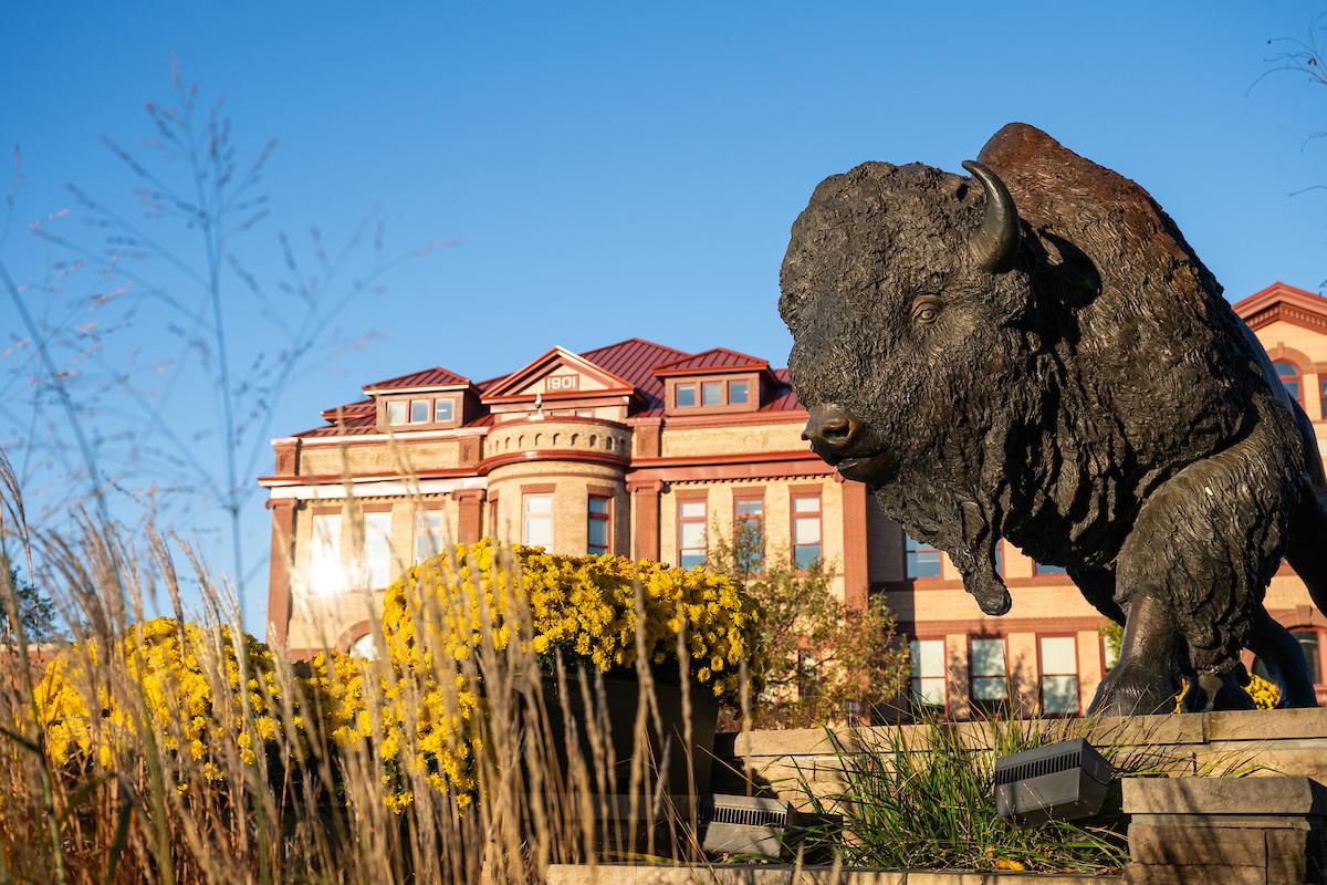 Photo of Bison statue